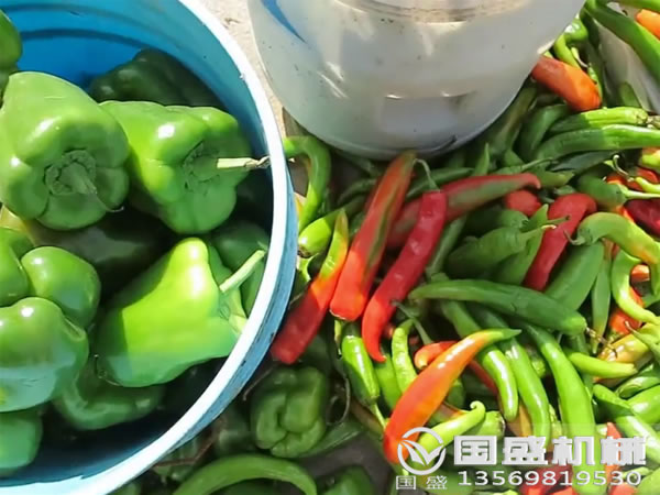 食品殘渣壓榨機